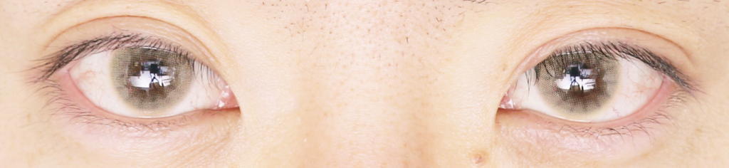 f:id:hamchang:20180121082700j:plain f:id:hamchang:20180121082700j:plain