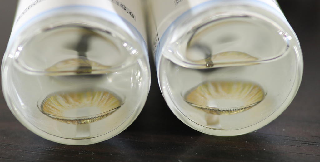 f:id:hamchang:20180309122652j:plain f:id:hamchang:20180309122652j:plain