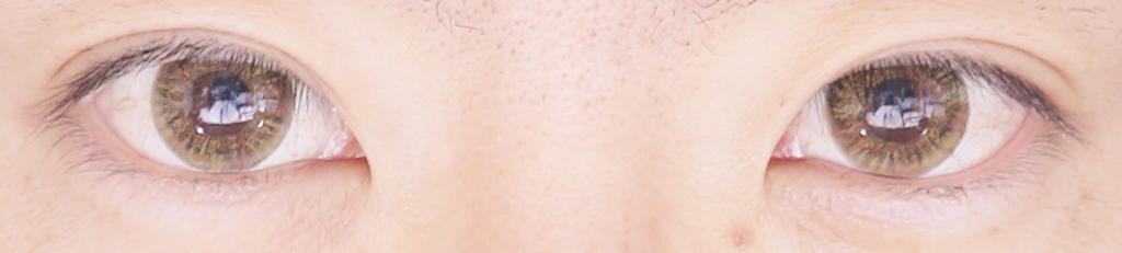 f:id:hamchang:20180309130051j:plain f:id:hamchang:20180309130051j:plain