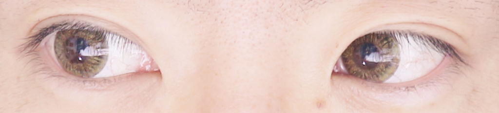 f:id:hamchang:20180309130122j:plain f:id:hamchang:20180309130122j:plain