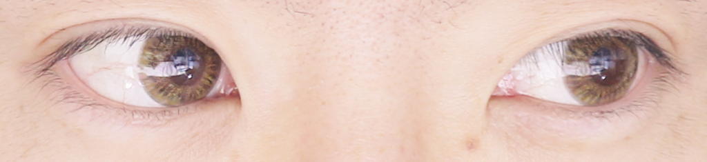 f:id:hamchang:20180309130133j:plain f:id:hamchang:20180309130133j:plain