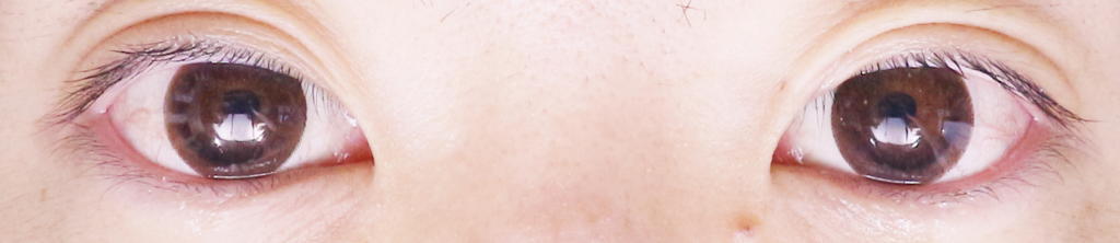 f:id:hamchang:20180714174208j:plain