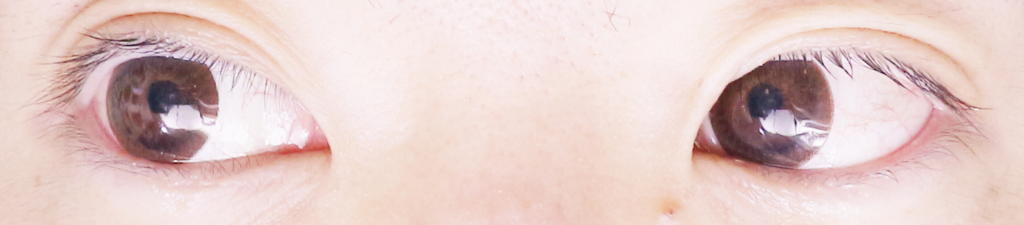 f:id:hamchang:20180714174239j:plain