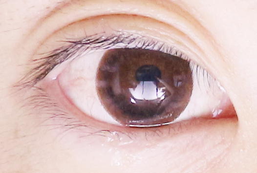 f:id:hamchang:20180714180222j:plain