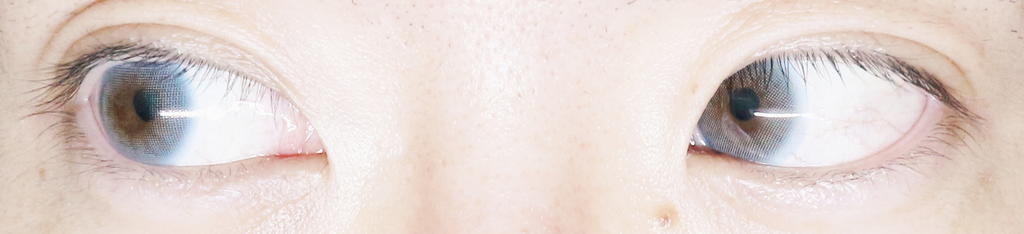 f:id:hamchang:20180930072035j:plain f:id:hamchang:20180930072035j:plain