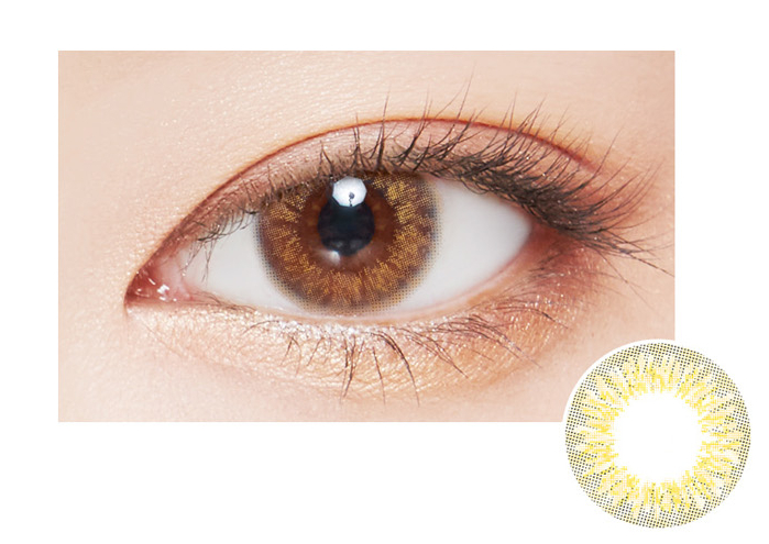 公式サイトの着画